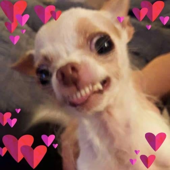 gailsexton795
